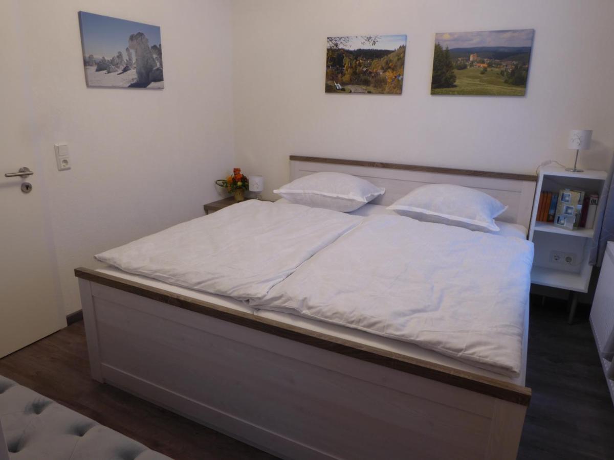 Haus Am Hang Altenau  Ngoại thất bức ảnh